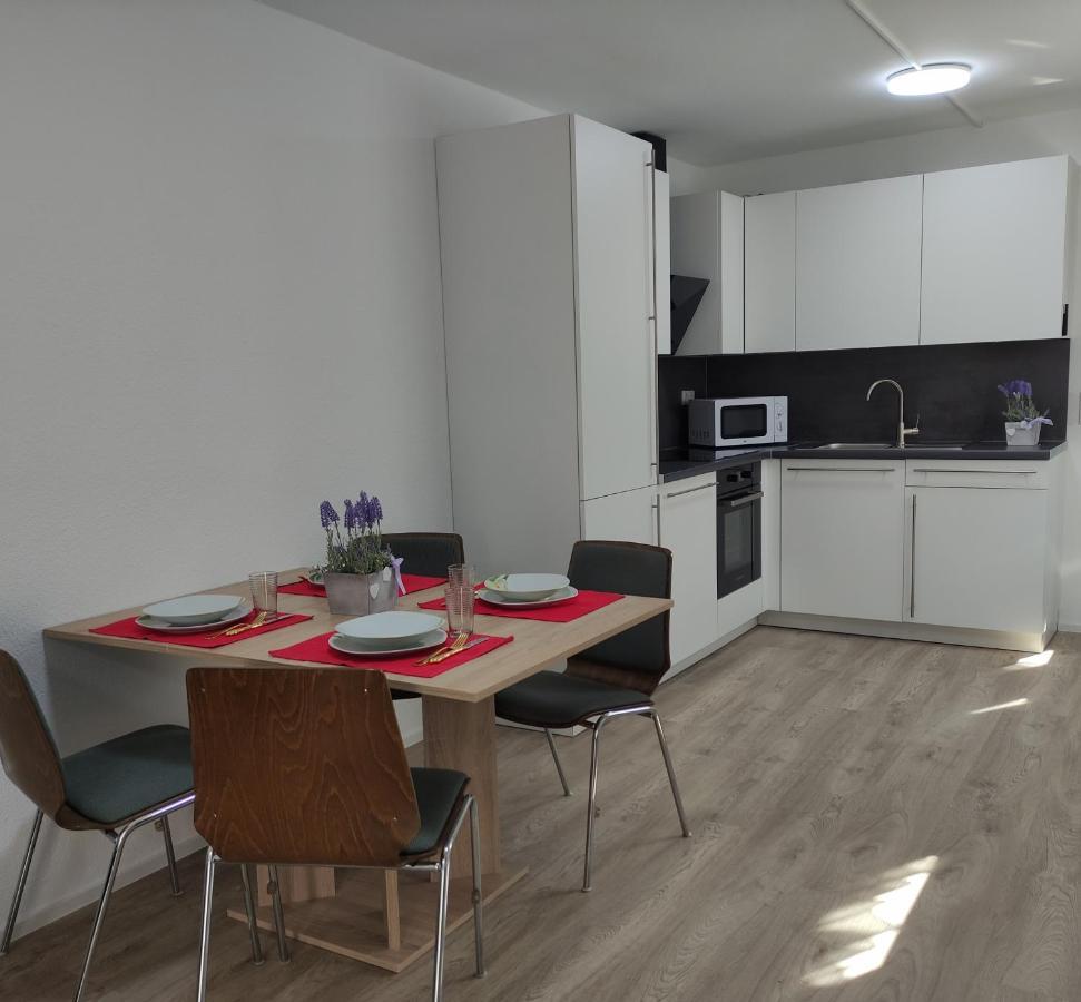 2 Zimmerwohnung In Bietingen Готмадинген Екстериор снимка